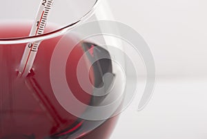 Measuring Red Wine Temperature with a Wine Thermometer