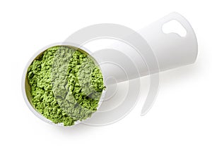 Measuring scoop of barley or wheat grass powder on white background