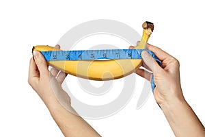 Measuring the size of a banana as a symbol of the male penis isolated on white background. Big dick length. Strong erection and