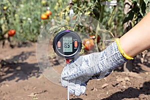 Measuring soil pH, environmental illumination and humidity in a vegetable garden