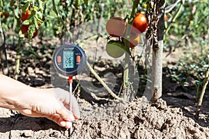 Measuring temperature, moisture content of the soil, environmental humidity and illumination in a vegetable garden