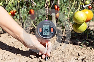 Measuring temperature, moisture content of the soil, environmental humidity and illumination in a vegetable garden