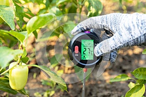 Measuring temperature, moisture content of the soil, environmental humidity and illumination in a vegetable garden photo