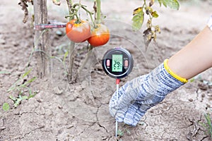 Measuring temperature, moisture content of the soil and environmental humidity in a vegetable garden. Global warming concept