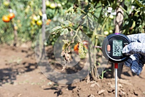 Measuring temperature, moisture content of the soil and environmental humidity in a vegetable garden. Global warming concept.