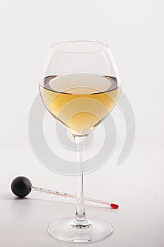 Measuring White Wine Temperature with a Wine Thermometer