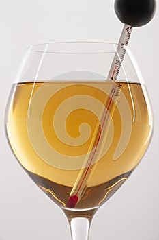 Measuring White Wine Temperature with a Wine Thermometer