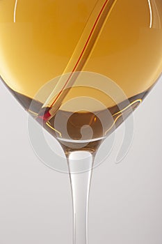 Measuring White Wine Temperature with a Wine Thermometer