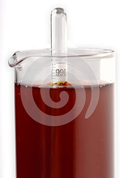 Measuring wine density with a hydrometer