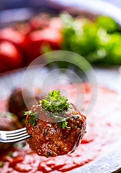 Meat balls. Italian and Mediterranean cuisine. Meat balls with s