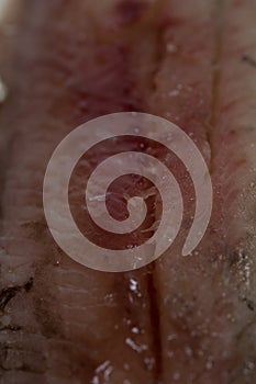 Meat and bones of fresh herring for a delicious dish, carve fish