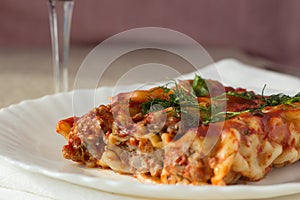Meat cannelloni on white plate