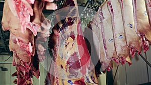 Meat carcasses storaged in the factory premises