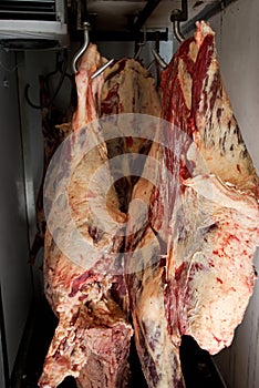 Meat in chiller