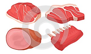 Meat Collection, Different Fresh Cuts of Meat Gastronomic Products Vector Illustration
