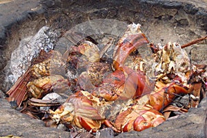 Meat cooking in the ground at Old Lahaina Luau, Maui, Hawaii