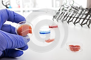 Meat cultured in laboratory photo