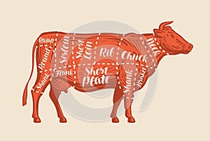Meat cut charts. Cow, butcher shop, beef. Vector illustration