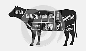 Meat cuts. Cuts of beef. Cow silhouette isolated on white background. Vintage Poster for butcher shop. Retro diagram. Vector illus