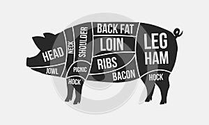 Meat cuts. Cuts of pork. Pig silhouette isolated on white background. Vintage Poster for butcher shop. Retro diagram. Vector illus