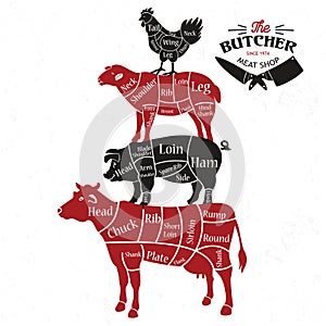 Meat cuts. Diagrams for butcher shop. Animal silhouette. Vector illustration. photo