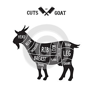 Meat cuts - goat. Diagrams for butcher shop. Scheme of goat. Animal silhouette goat. Guide for cutting