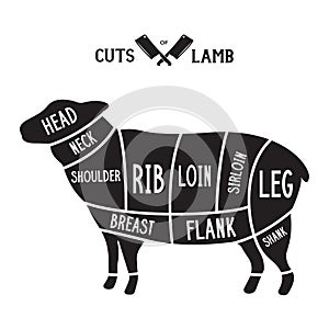 Meat cuts - lamb. Diagrams for butcher shop. Scheme of lamb. Animal silhouette lamb. Guide for cutting