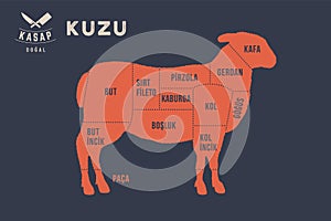 Meat cuts. Poster Butcher diagram - Kuzu