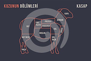 Meat cuts. Poster Butcher diagram and scheme - Lamb