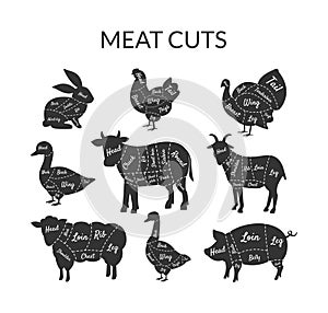 Meat Cuts Set, Farm Animals and Poultry with Meat Cuts Lines, Vintage Black and White Vector Illustration
