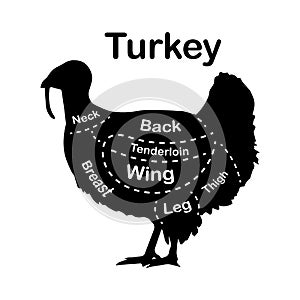 Meat cuts - turkey. Diagrams for butcher shop. Scheme of turkey. Animal silhouette turkey. Guide for cutting. Vector