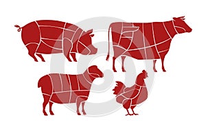 Meat cutting scheme. Butcher shop concept. Farm animals vector