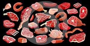 Meat delicacies set for butcher shop menu design. Farm organic food collection vector illustration