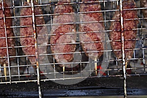 Meat dish on the wire rack photo