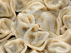Meat dumpling