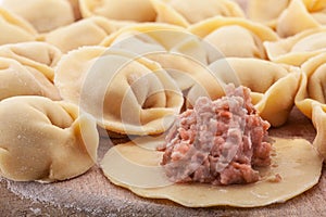 Meat dumplings