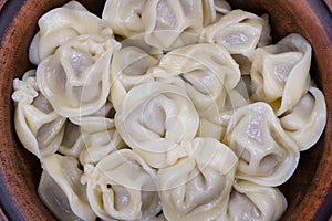 Meat Dumplings - russian boiled pelmeni in plate