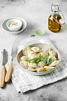 Meat dumplings - russian pelmeni, ravioli with meat on a white plate