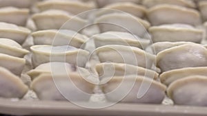 Meat factory. Packing dumpling on baking tray for placement in refrigerator