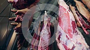 Meat factory worker and dressed beef carcasses