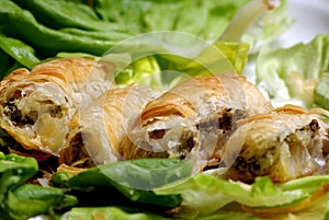 Meat filled pastry rolls