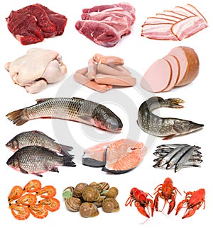 Meat, fish and seafood