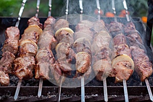 The meat is fried barbecue on a skewer in the garden with smoke