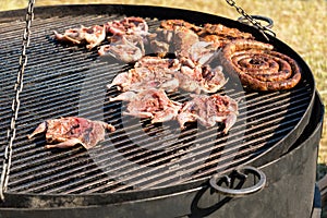 Meat on grill. Chicken and sausages on giant