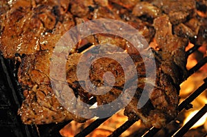 Meat on the grill photo