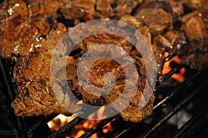 Meat on the grill photo