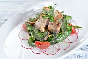 meat, grilled duck with tomatoes, radish, asparagus and spinach