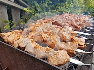 Meat is grilled Schaschlik
