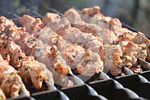 Meat is grilled Schaschlik Barbecue cooking