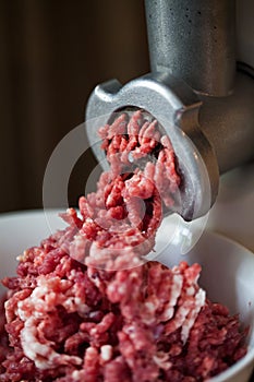 Meat grinder photo